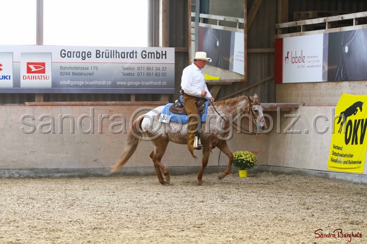 31-ApHC OWP_030.jpg